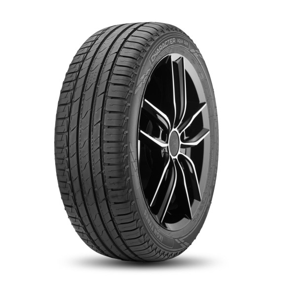 Шины Ikon 235/50R19 99V Character Aqua SUV (Nordman S2 SUV) TL Шины Ikon 235/50R19 99V Character Aqua SUV (Nordman S2 SUV) TL