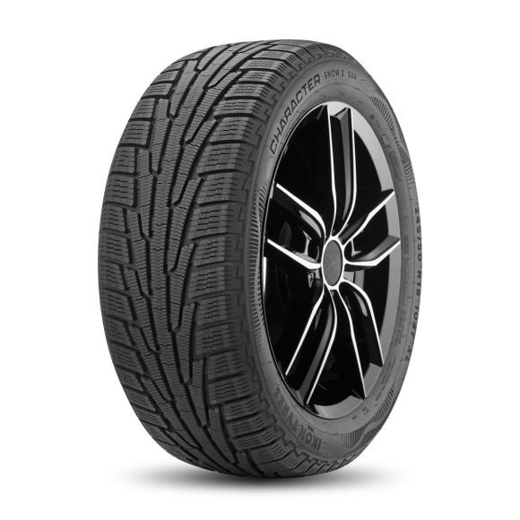 Шины Ikon 215/60 r17 Character Snow 2 SUV (Nordman RS2 SUV) 100R